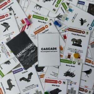 Cascade